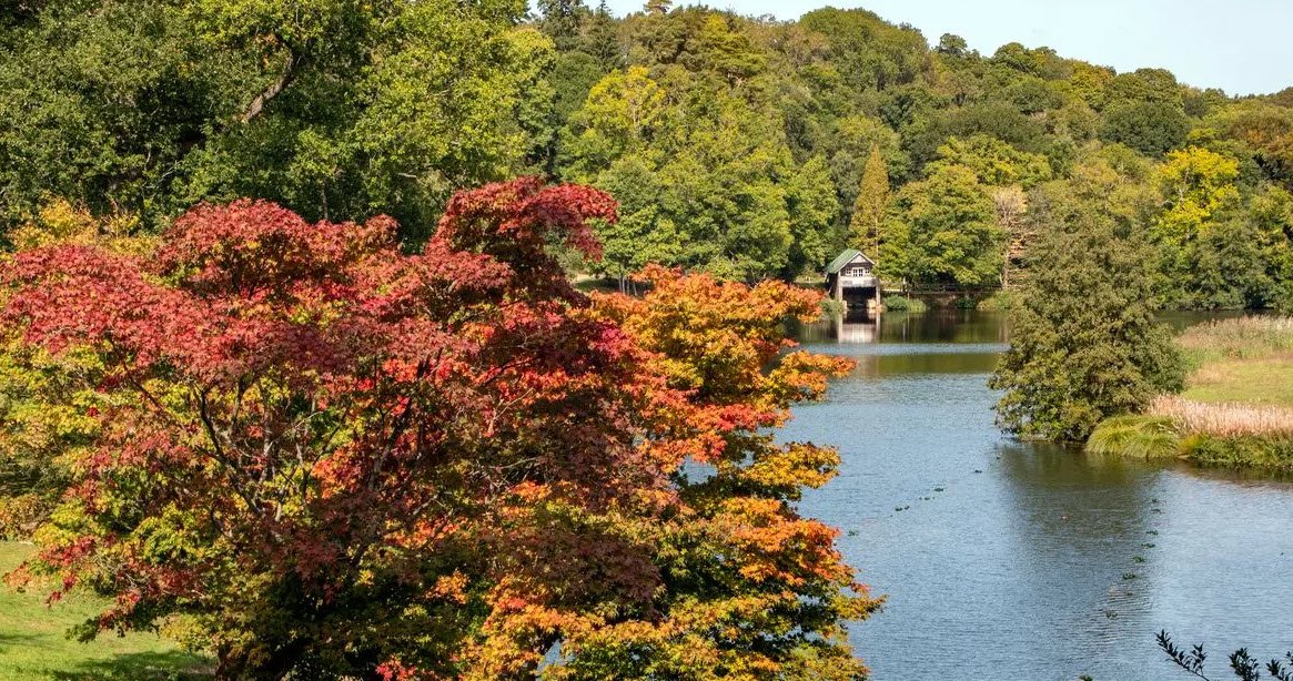 National Trust - Winkworth Arboretum, United Kingdom